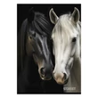 Kép 4/4 - Füzet sima STREET A/4 54 lapos Horses