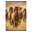 Kép 3/5 - Füzet vonalas STREET A/4 54 lapos Horses margóval