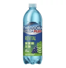 Ásványvíz szénsavas THEODORA Calcia Plus Revital szőlő-aloe vera 0,7 L DRS