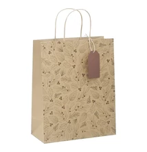 Dísztasak CREATIVE ECO Delucm x Plus L 32cm x 32cm x 12 cm kraft fóliás levél mintás sodort füles