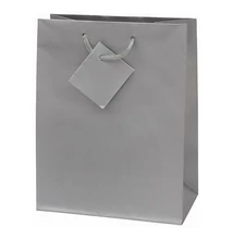 Dísztasak CREATIVE Special Simple M 18x23x10 cm egyszínű ezüst zsinórfüles