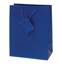Dísztasak CREATIVE Special Simple M 18x23x10 cm egyszínű kék zsinórfüles