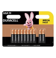 Elem mikro DURACELL Basic AAA 10-es