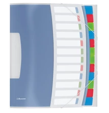 Előrendező ESSELTE Vivida A/4 PP 12 részes