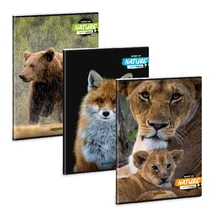 Füzet kockás ARS UNA A/4 40 lapos Extra kapcsos Spirit Of Nature