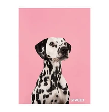 Füzet kockás STREET A/4 54 lapos Friends