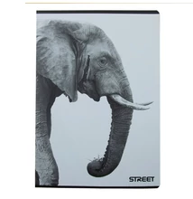 Füzet kockás STREET A/4 54 lapos Safari