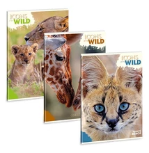 Füzet kockás ARS UNA A/4 40 lapos Extra kapcsos Icons of the Wild