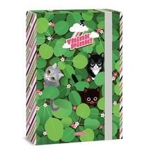 Füzetbox ARS UNA A/4 Think Pink