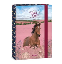 Füzetbox ARS UNA A/4 Wild And Free