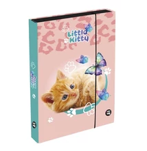 Füzetbox OXY A/4 Jumbo Cat