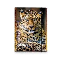 Gumis mappa STREET A/4 Africa