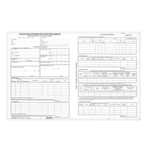 Nyomtatvány külföldi kiküldetési utasítás