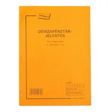 Nyomtatvány pénztárjelentés deviza