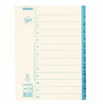 Regiszter ESSELTE A/4 karton 1-12