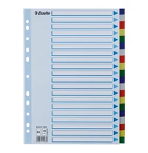 Regiszter ESSELTE A/4 műanyag 20 részes