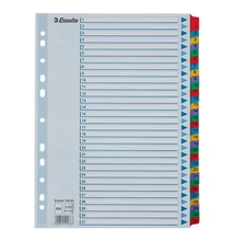 Regiszter ESSELTE Mylar A/4 laminált karton 1-31