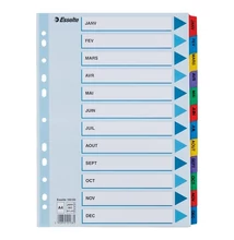 Regiszter ESSELTE Mylar A/4 laminált karton Jan-Dec