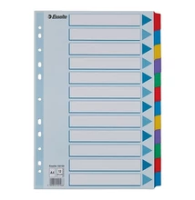 Regiszter ESSELTE Mylar A/4 laminált karton 12 részes
