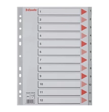 Regiszter ESSELTE A/4 műanyag 1-12