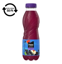 Üdítőital szénsavmentes CAPPY Ice Fruit Erdei gyümölcs 12% 0,5L DRS