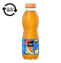 Üdítőital szénsavmentes CAPPY Ice Fruit Őszibarack-Sárgadinnye 12%-os 0,5L DRS