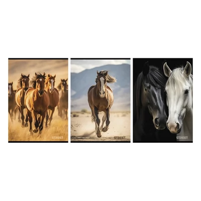 Füzet vonalas STREET A/4 54 lapos Horses margóval