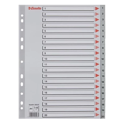 Regiszter ESSELTE A/4 műanyag 1-20 szürke