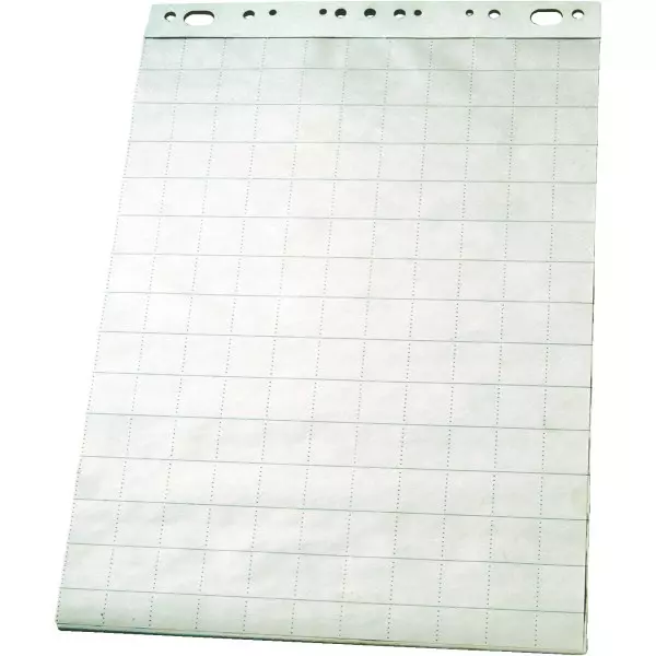 Flipchart papír ESSELTE  sima/kockás 60x85cm