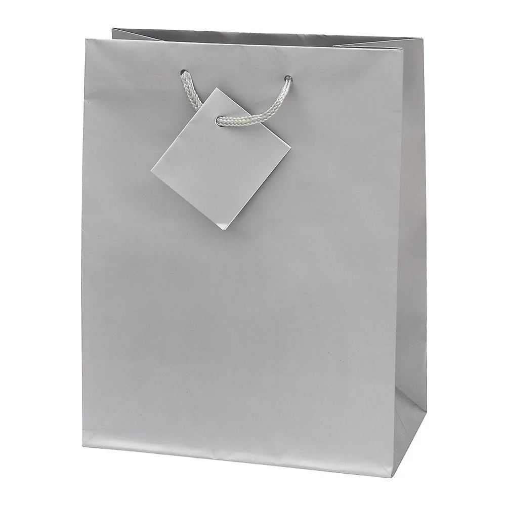 Dísztasak CREATIVE Special Simple S 11cm x 13cm x 6 cm egyszínű ezüst zsinórfüles