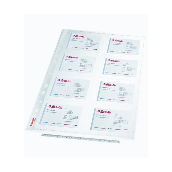 Névjegytartó ESSELTE lefűzhető A/4 8 darabos (16 férőhelyes)